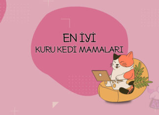En İyi Kuru Kedi Mamaları