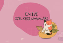 En İyi Özel Kedi Mamaları