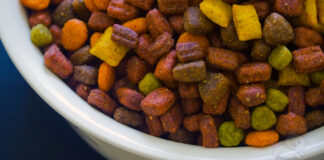 Kedi Maması Seçiminde Nelere Dikkat Edilmelidir?