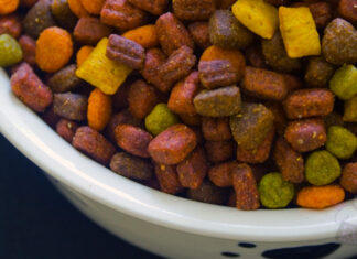 Kedi Maması Seçiminde Nelere Dikkat Edilmelidir?