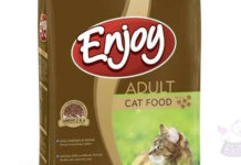 Enjoy Tavuklu 15 kg Yetişkin Kuru Kedi Maması İncelemesi
