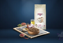 BonaCibo Kedi Maması Yorum