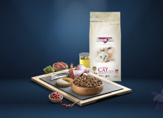 BonaCibo Kedi Maması Yorum