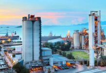 Kedi Maması Sektörü 2025’te Rekor Kırıyor: Manisa’dan Küresel İhracata!