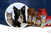 Lider King Kedi Maması Yorum