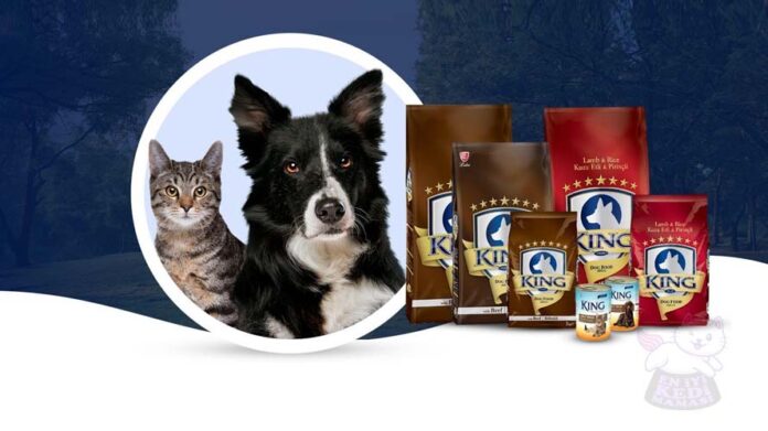 lider-king-kedi-mamasi